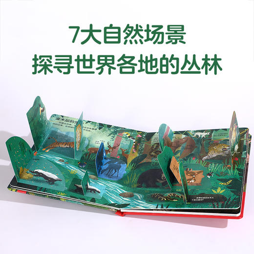 揭秘丛林—乐乐趣揭秘翻翻书低幼版第二辑  原价68.80 商品图2