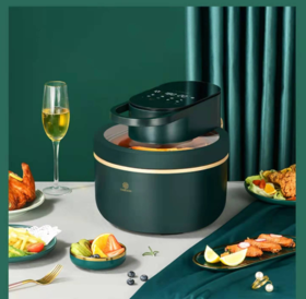 利仁绿洲系空气炸锅G-11