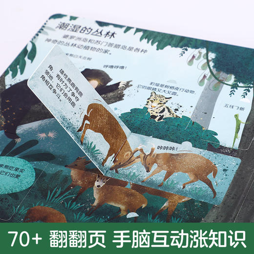 揭秘丛林—乐乐趣揭秘翻翻书低幼版第二辑  原价68.80 商品图1