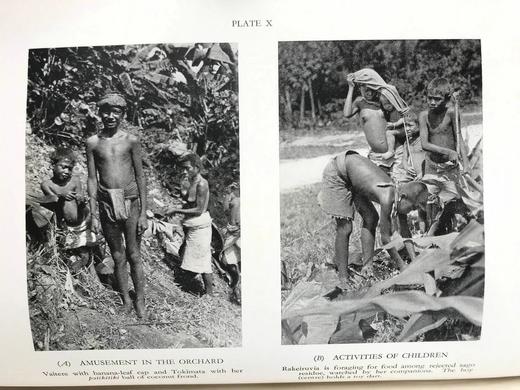 原始波利尼西亚亲属关系的社会学研究 25页插图 布面精装18开 商品图10