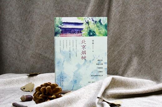 北京烟树 商品图4