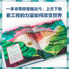【6-12岁】了不起的建筑 罗玛阿格拉沃尔 著 聆听工程师背后的故事 看工程的力量如何改变世界 中信出版 商品缩略图2