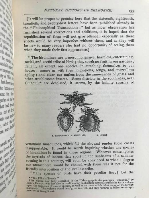 约19世纪后期 塞耳彭自然史 数十幅版画插图 漆布精装32开 商品图5