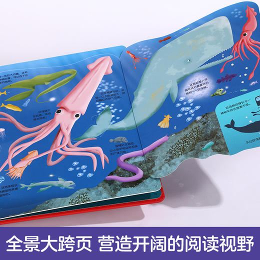 乐乐趣揭秘翻翻书系列 低幼版第二辑（全4册） 单本+套装 原价275.20元 商品图4