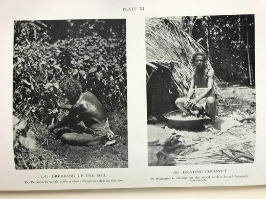 原始波利尼西亚亲属关系的社会学研究 25页插图 布面精装18开 商品图9