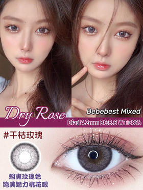 【年抛】Dry rose 干枯玫瑰 Bebebest | 中直径14.2，着色13.4  | 【同品牌多副美瞳更划算，选款色板在详情页内】，微混血紫色美瞳