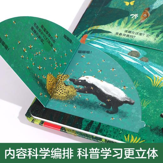 揭秘丛林—乐乐趣揭秘翻翻书低幼版第二辑  原价68.80 商品图4