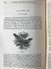 约19世纪后期 塞耳彭自然史 数十幅版画插图 漆布精装32开 商品缩略图9