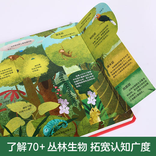 揭秘丛林—乐乐趣揭秘翻翻书低幼版第二辑  原价68.80 商品图3