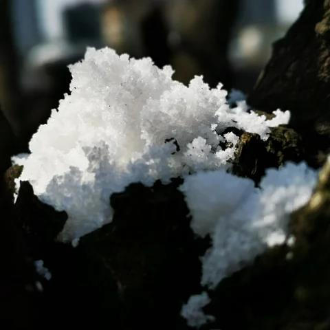 【产地直发包邮】山季—手工生态展示粗盐（井盐）450*10包/箱 商品图3