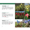 天际线丛书：三江源国家公园自然图鉴 商品缩略图2