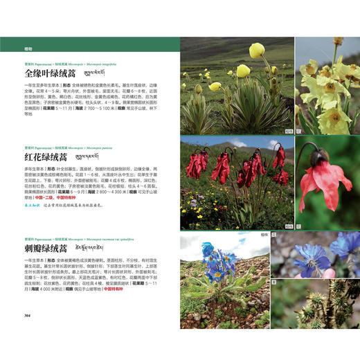 天际线丛书：三江源国家公园自然图鉴 商品图2