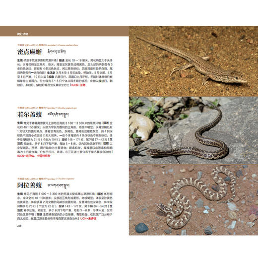 天际线丛书：三江源国家公园自然图鉴 商品图4