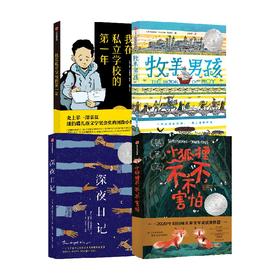 纽伯瑞大奖小说 全4册 我在私立学校的第一年+小狐狸不不不害怕+牧羊男孩+深夜日记 克里斯蒂安海迪克等著中信