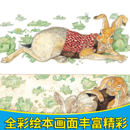 杰里·平克尼第1辑：龟兔赛跑 商品图2