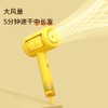 直白S水离子吹风机HL610 
 护发不伤发速干冷热风家用电吹风筒 商品缩略图3