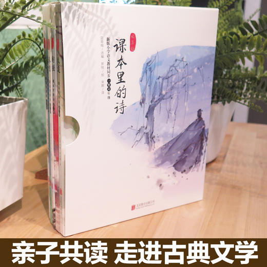 课本里的诗 语文丛书教材同步唐诗宋词 牧遥朝槿春望暮雨落月小学生课外阅读二四年级少儿文学青少年读物童立方正版书 商品图3