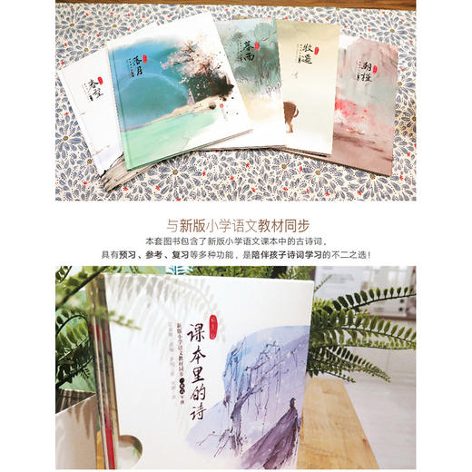 课本里的诗 语文丛书教材同步唐诗宋词 牧遥朝槿春望暮雨落月小学生课外阅读二四年级少儿文学青少年读物童立方正版书 商品图1