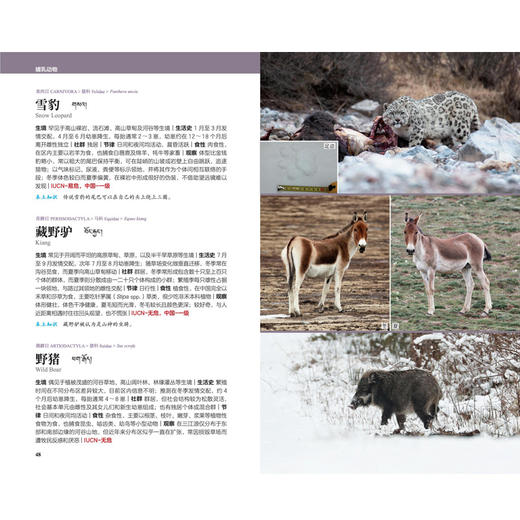 天际线丛书：三江源国家公园自然图鉴 商品图1