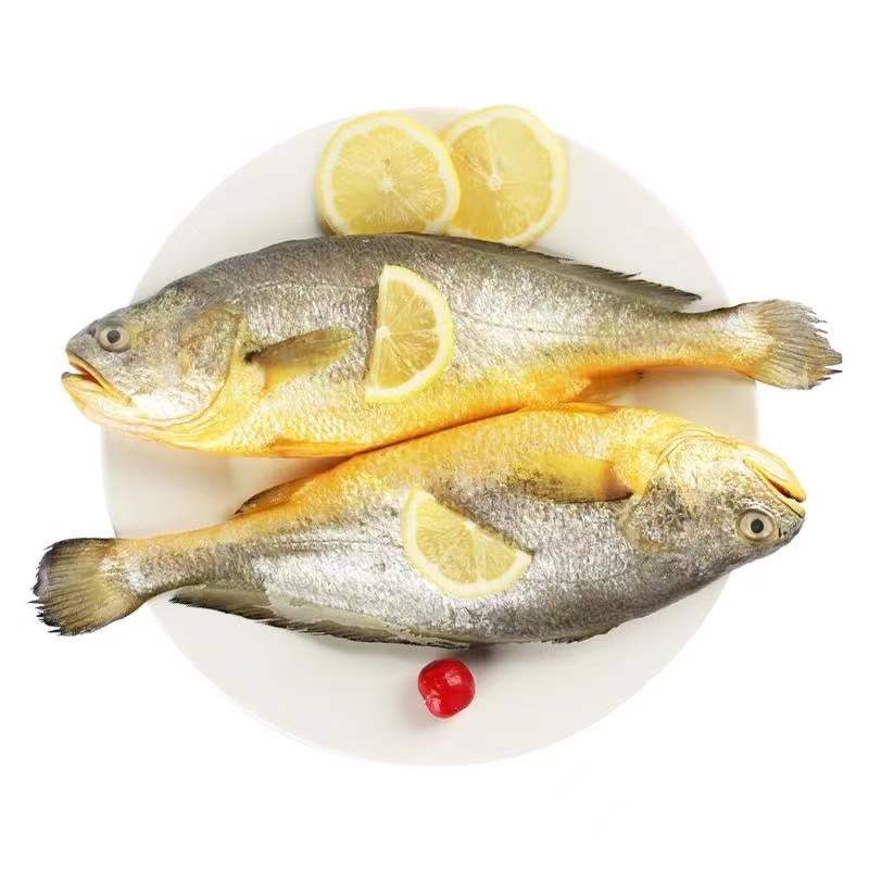 鲜活速冻锁鲜生态大黄鱼550g*3条
