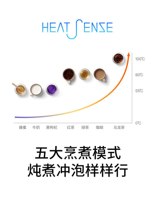 饭来养生杯便携式热水杯保温迷你小型旅行炖煮 商品图3