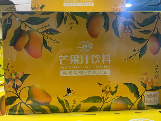 一支笔饮料 芒果汁饮料礼盒 商品图0