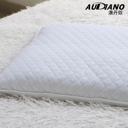 澳丹奴全荞麦枕 商品图0