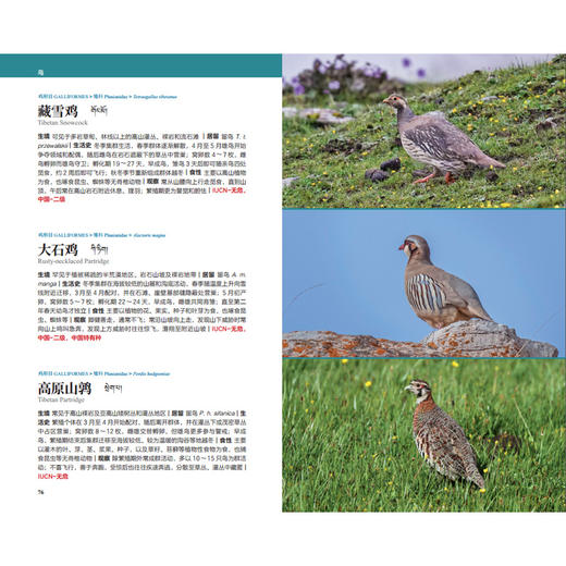 天际线丛书：三江源国家公园自然图鉴 商品图3