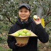 有机青枣 | 绿家自产*Organic Green jujube | Self-production 商品缩略图1