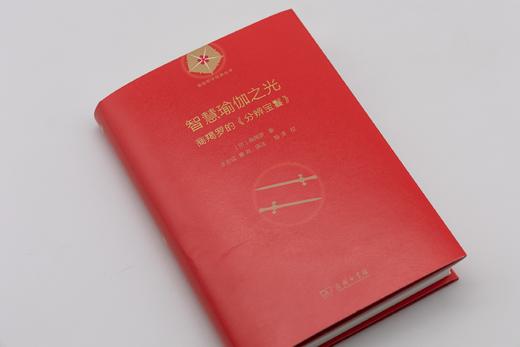 智慧瑜伽之光：商羯罗的《分辨宝鬘》(瑜伽哲学经典丛书) 商品图1