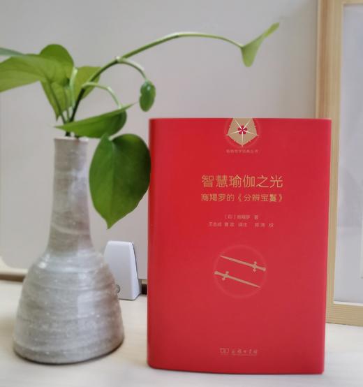 智慧瑜伽之光：商羯罗的《分辨宝鬘》(瑜伽哲学经典丛书) 商品图2