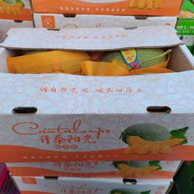 开泰阳光蜜瓜一件