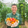 有机圣女果 | 绿家自产 * ecological cherry tomato | Self-production 商品缩略图2