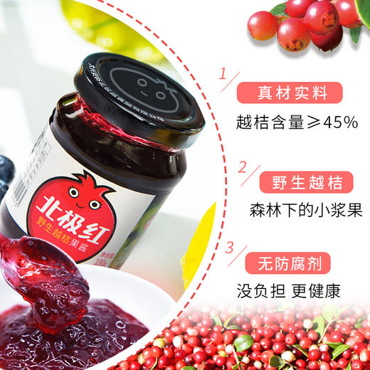 【精选蓝莓】北极蓝野生蓝莓越桔果酱180g*2瓶 商品图6
