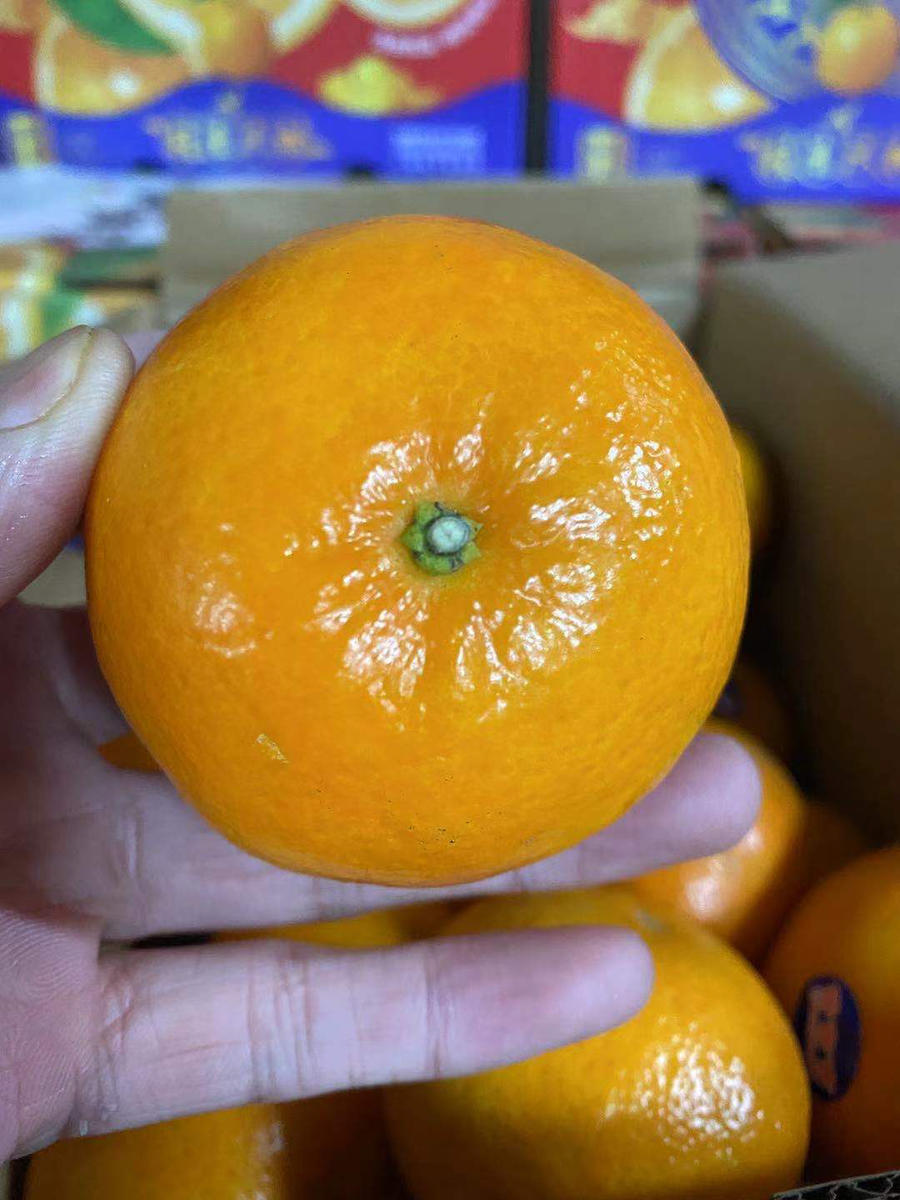 周一取货:【甜弯弯沃柑】整箱6斤,特惠29.9元/箱