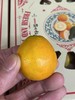 周六取货：【盒装匠心级脆皮金桔】一盒毛重800克左右，浓浓香！满满的维C，满满的维A！！ 商品缩略图4