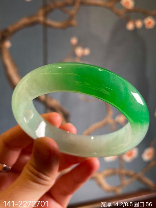 141-2272701，飘翠手镯。圈口56.  具体价格微信咨询 商品图7