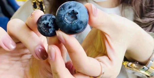 ✨Driscoll's蓝莓王，纯正L25，新鲜果粉足，甜甜脆脆爽爽。 商品图0