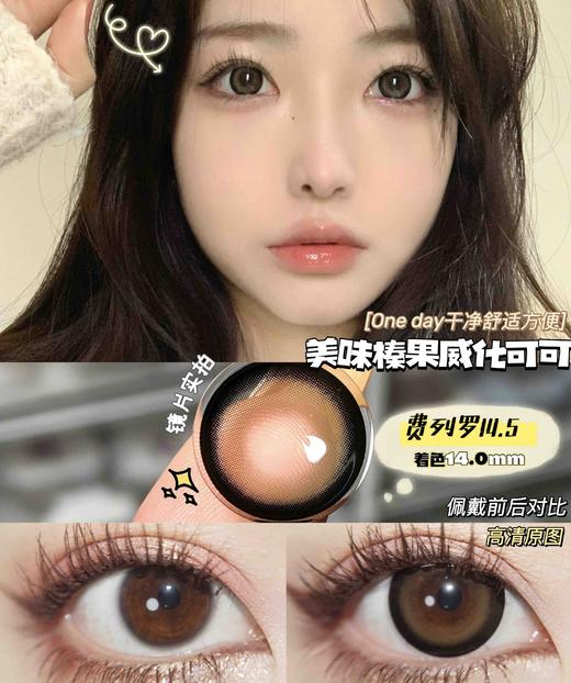 Papadox 费列罗【日抛】 商品图0