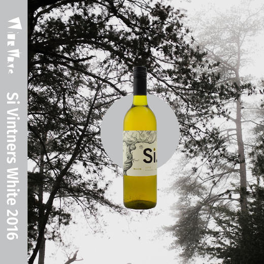 Si Vintners White 商品图0
