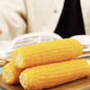 黑龙江 甜糯有机黄玉米12支装 商品缩略图2