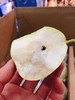 守望民生香梨一箱（拼团） 商品缩略图3