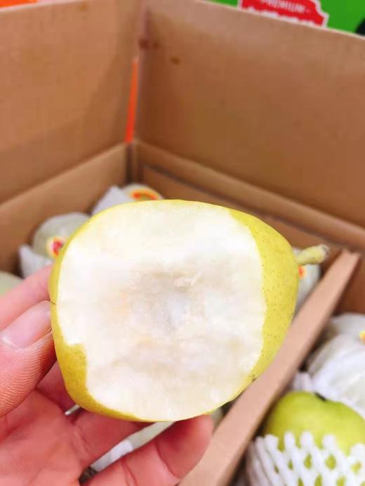 守望民生香梨一箱（拼团） 商品图5