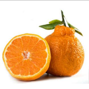 丑橘 商品图0
