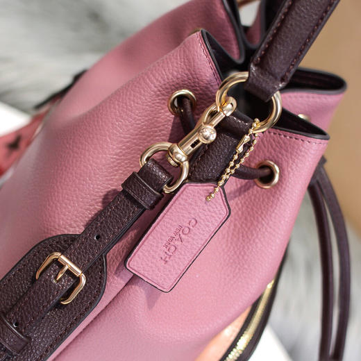 春季特惠💰550 蔻驰COACH/蔻驰女士马车图案JES水桶包1899 商品图5