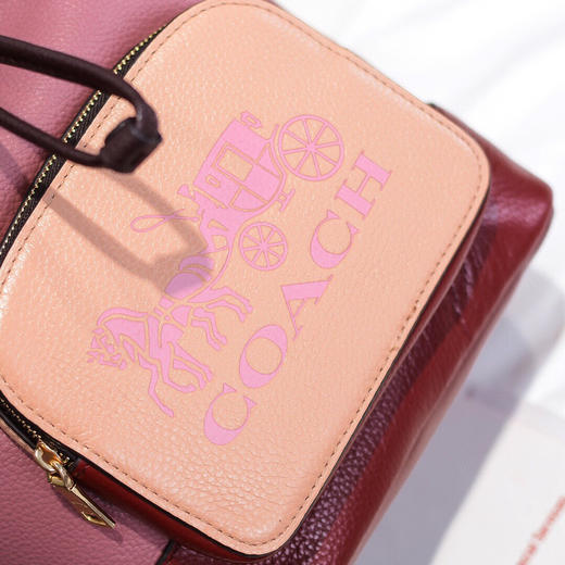 春季特惠💰550 蔻驰COACH/蔻驰女士马车图案JES水桶包1899 商品图4