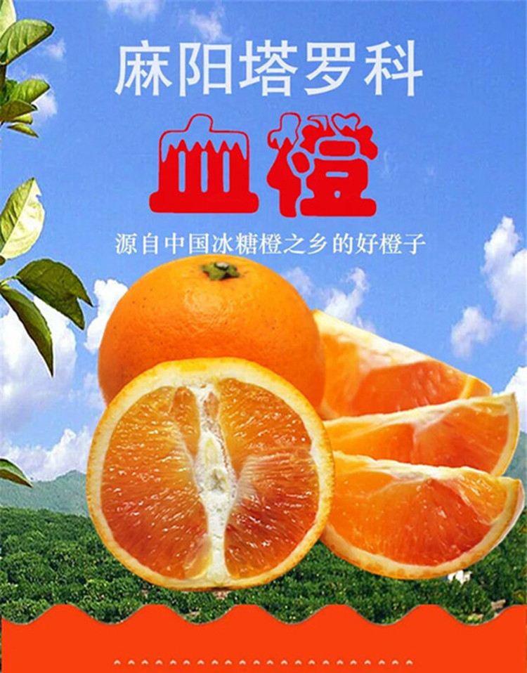 湖南麻阳塔罗科血橙 新鲜水果塔罗科带箱红肉橙子 果径65mm-75mm,净重