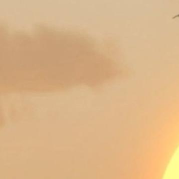 专栏设置5555 商品图0