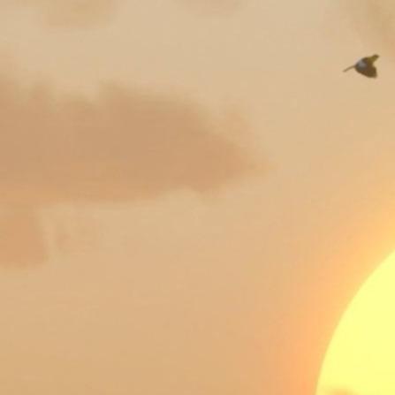 音频测试关联多个解锁的 商品图0