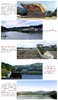 古田鲜活猴头菇800g包邮 商品缩略图1